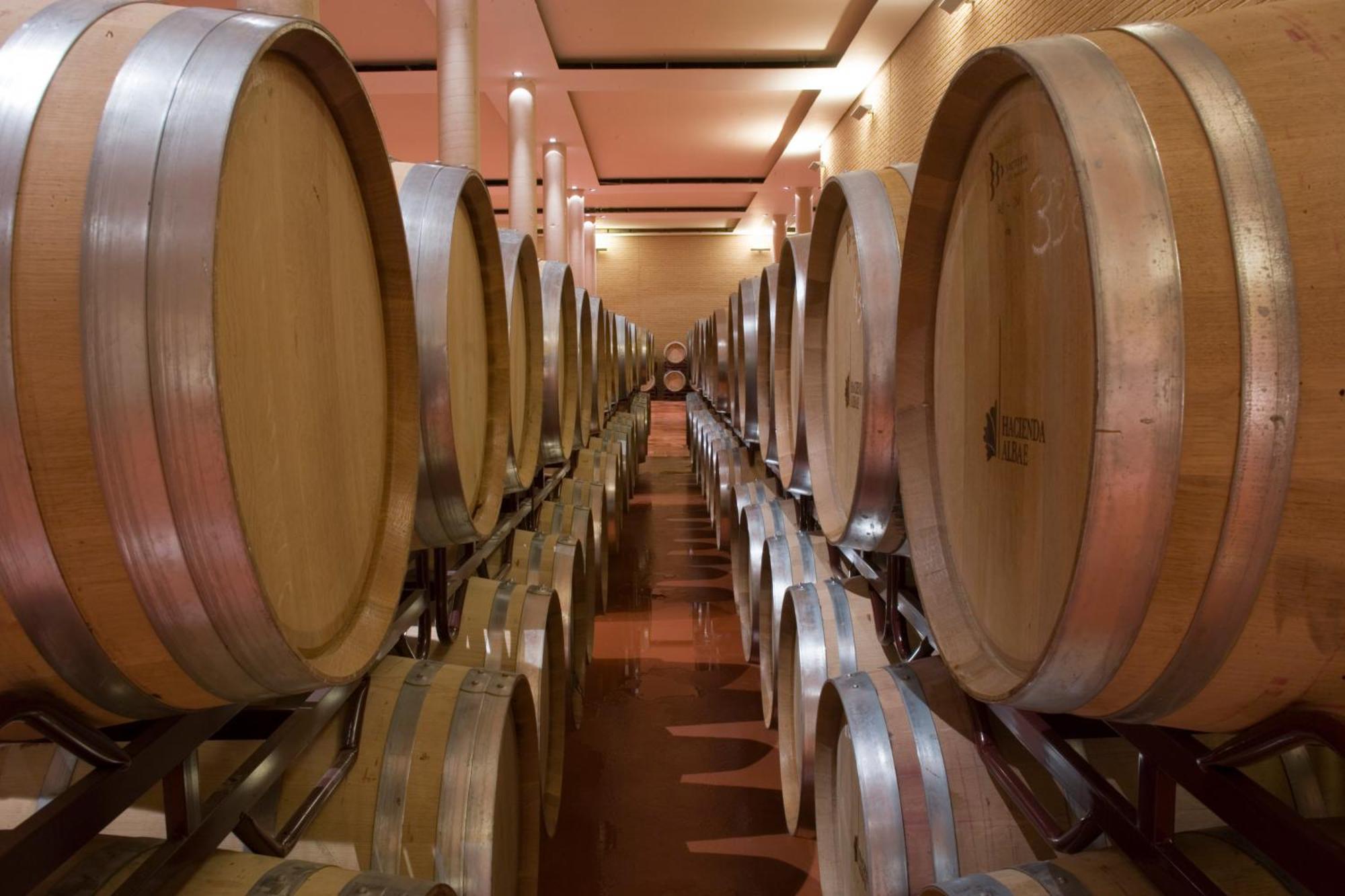Bodegas Hacienda Albae Argamasilla de Alba Exterior foto